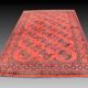 Oriental carpet Boukhara Turkmen Afghanistan: 350 x 255 cm