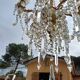 19th century crystal chandelier