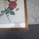 Botanical board