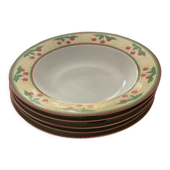 5 assiettes porcelaine