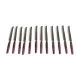 Series of 12 table knives