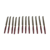 Series of 12 table knives