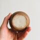 Small sandstone vase, old soliflore