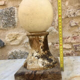 Ostrich egg