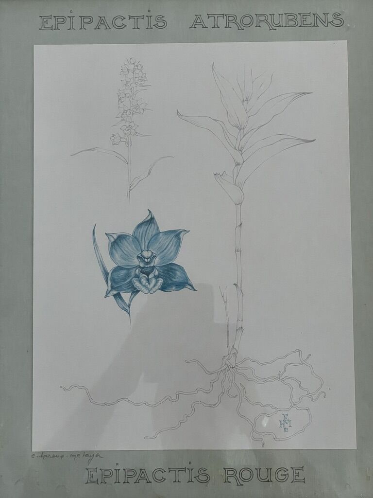 Orchid poster