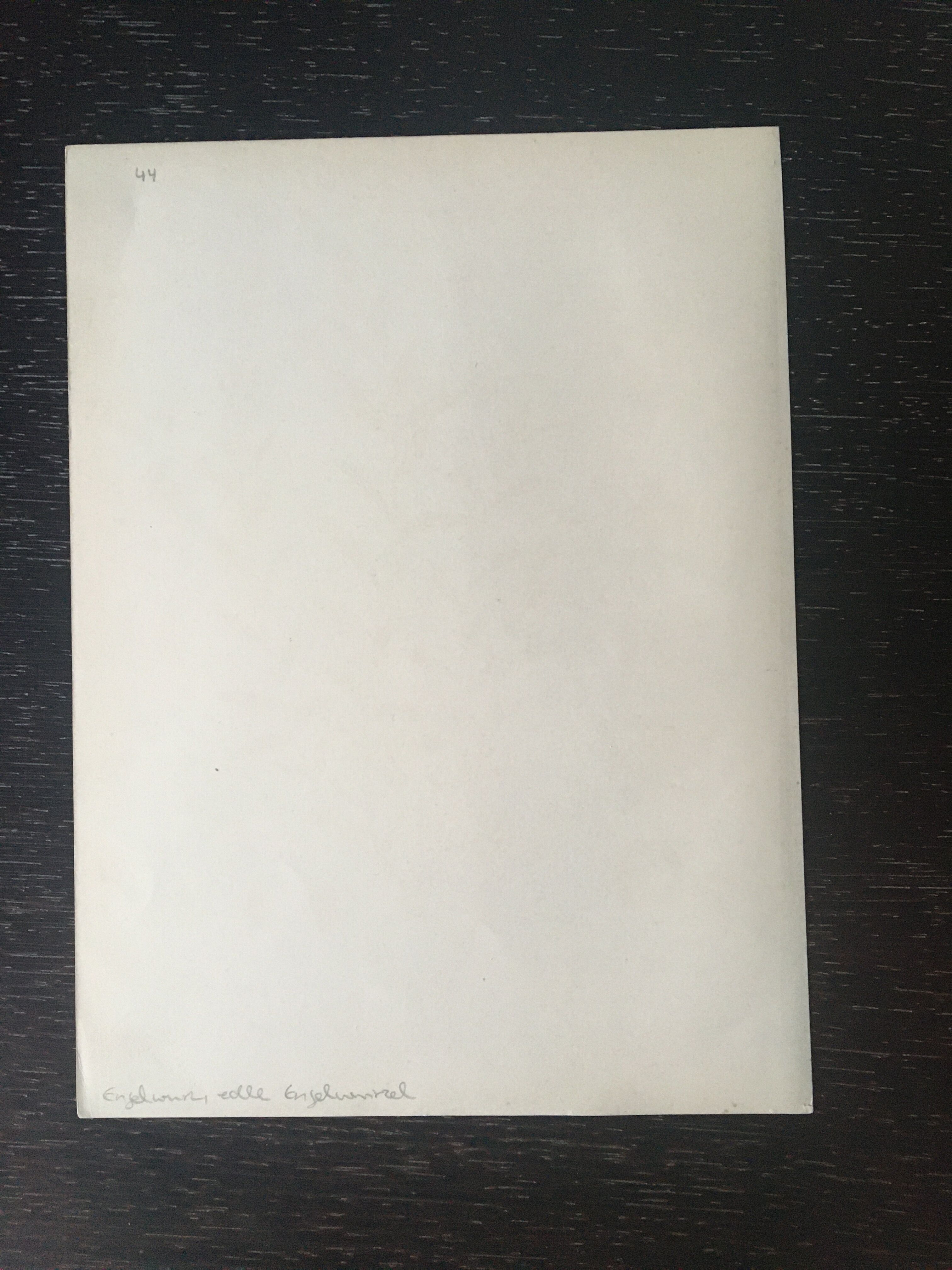 E. botanical plank. Kohler 1887