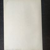 E. botanical plank. Kohler 1887