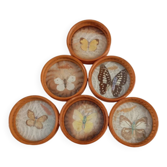 Set of 6 butterfly coasters