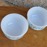 Series of 4 Scania and Veronica ramekins from Arcopal 70s/80s