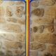 Vintage Ikea rigg coat rack by tord Bjorklund