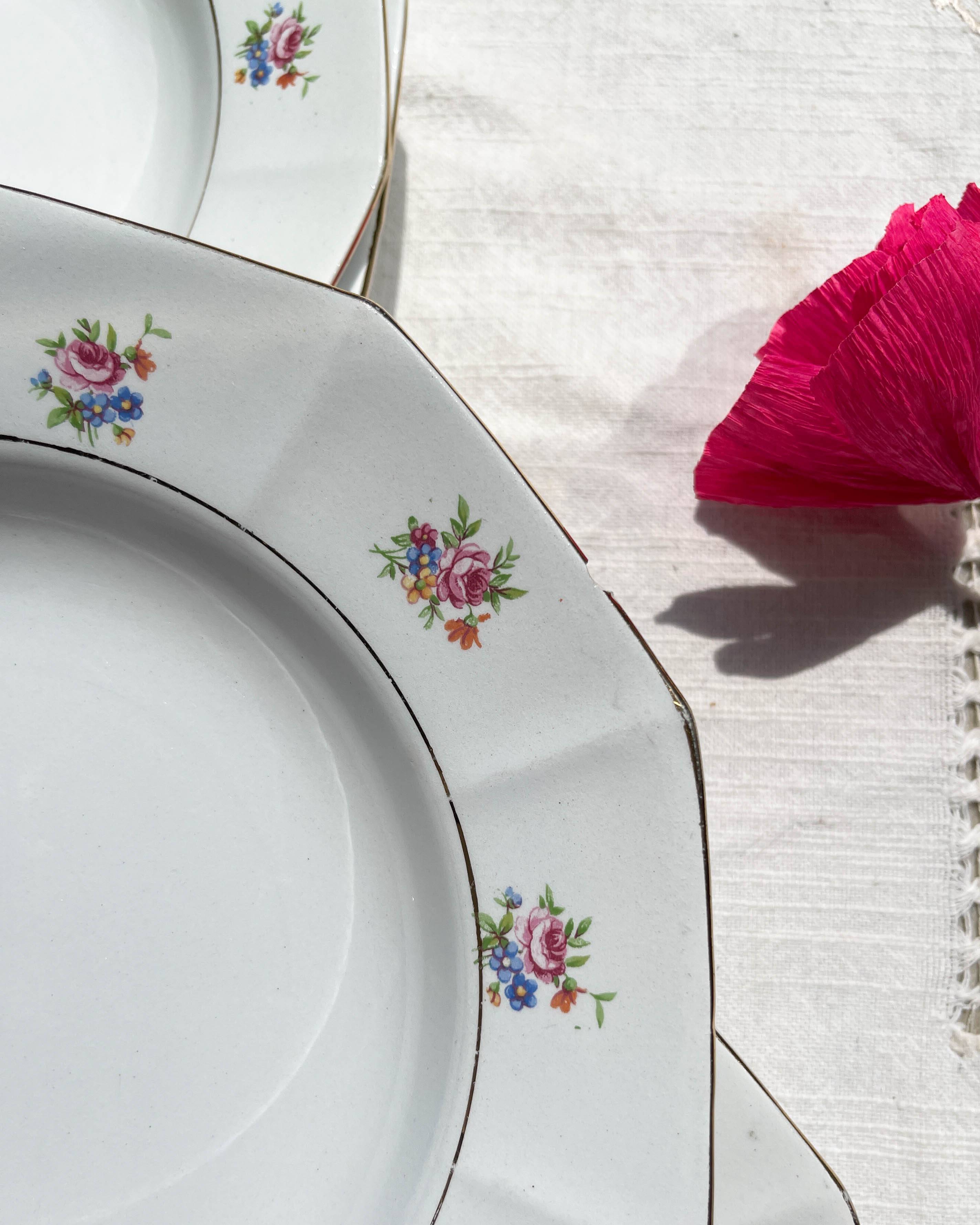 5 vintage hollow plates in opaque porcelain SALINS floral pattern