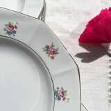 5 vintage hollow plates in opaque porcelain SALINS floral pattern