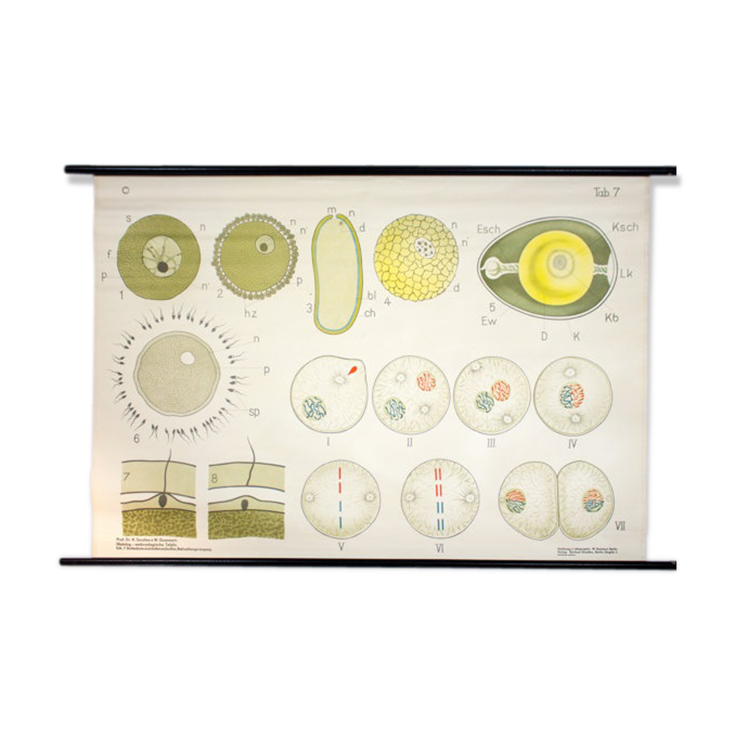 Poster by Gerhard Gembke Berlin