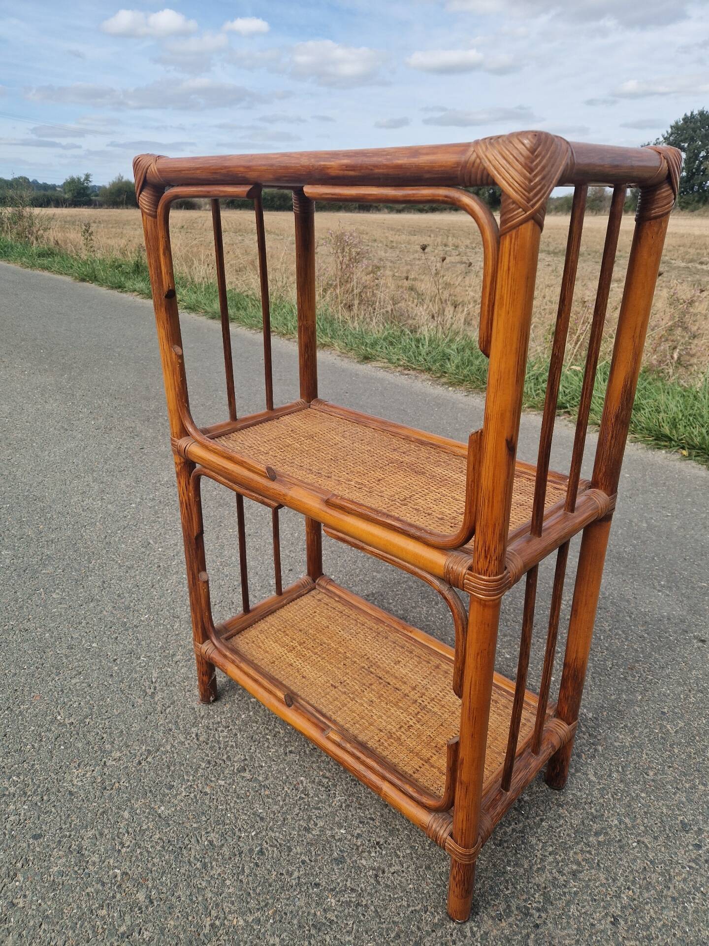 Étagère bibliothèque en rotin
