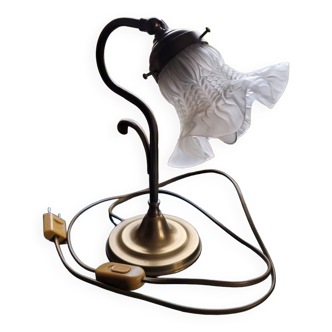 Swan neck lamp