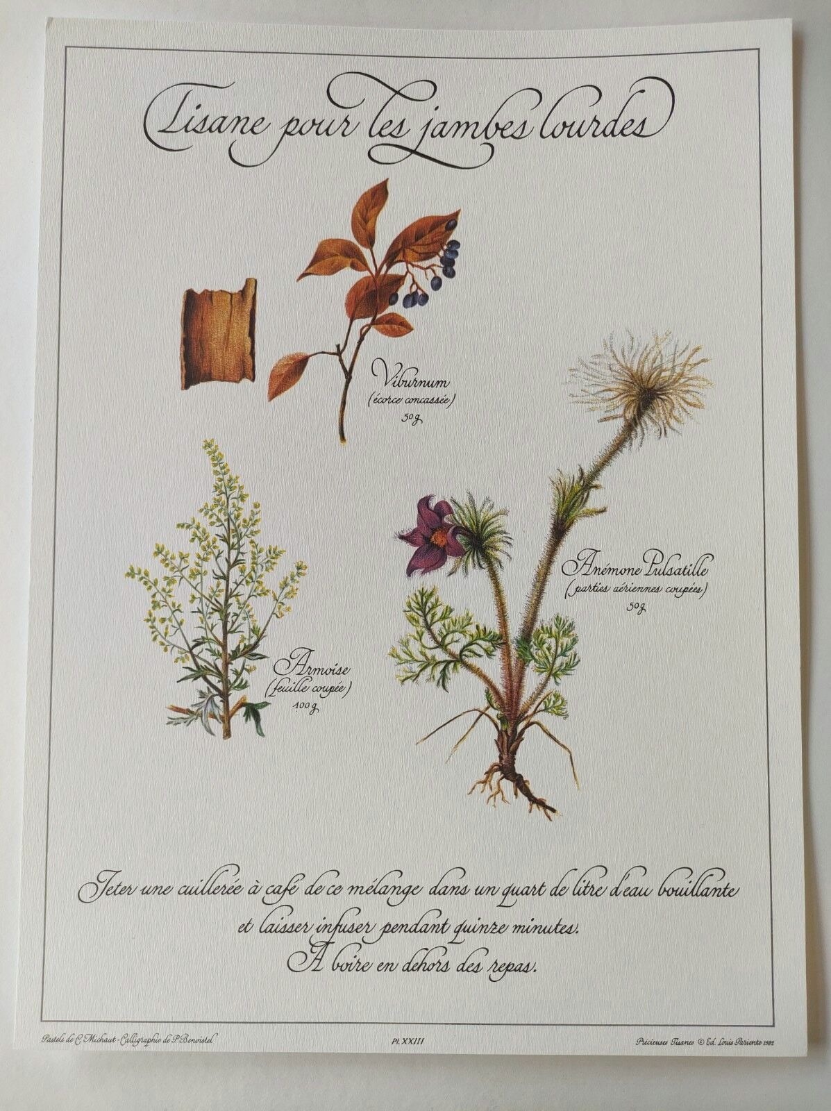 Botanical engraving -Herbal tea for heavy legs- Illustration of medicinal plants and herbs