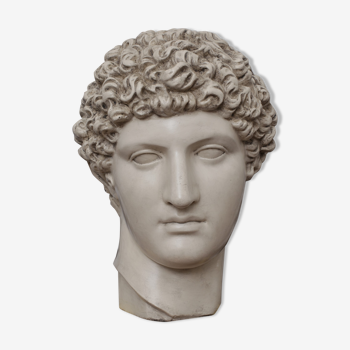 Greek head in waxed ivory plaster