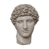 Greek head in waxed ivory plaster