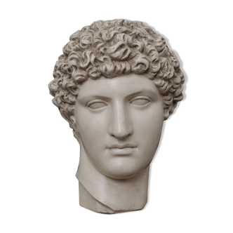 Greek head in waxed ivory plaster