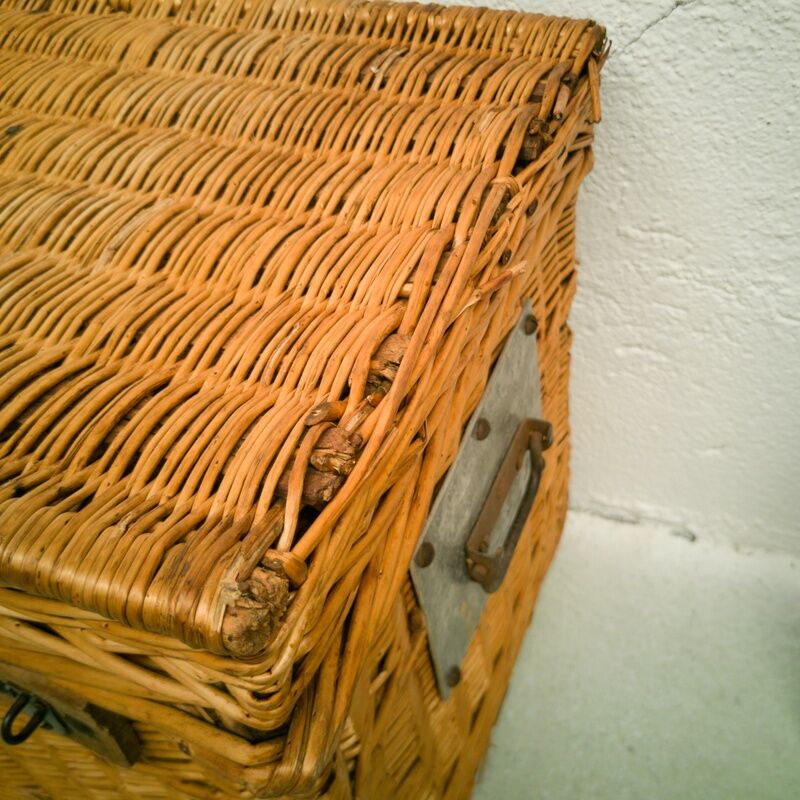 Wicker trunk