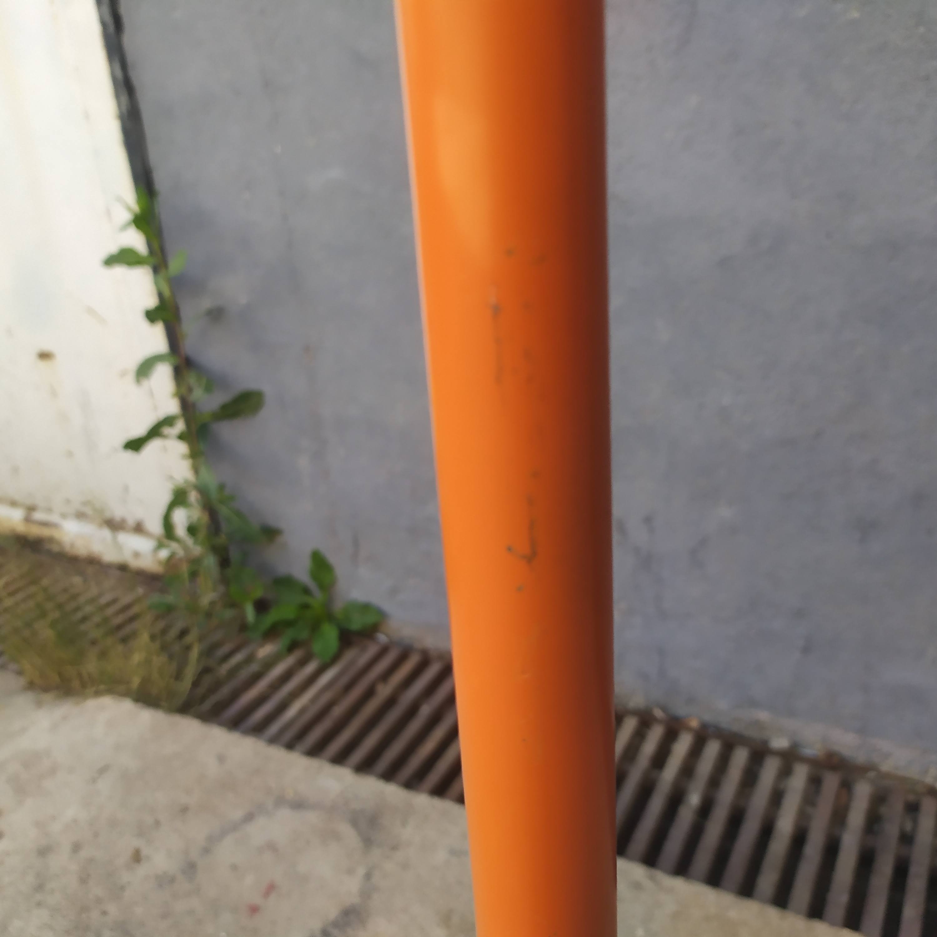 Perroquet vintage orange