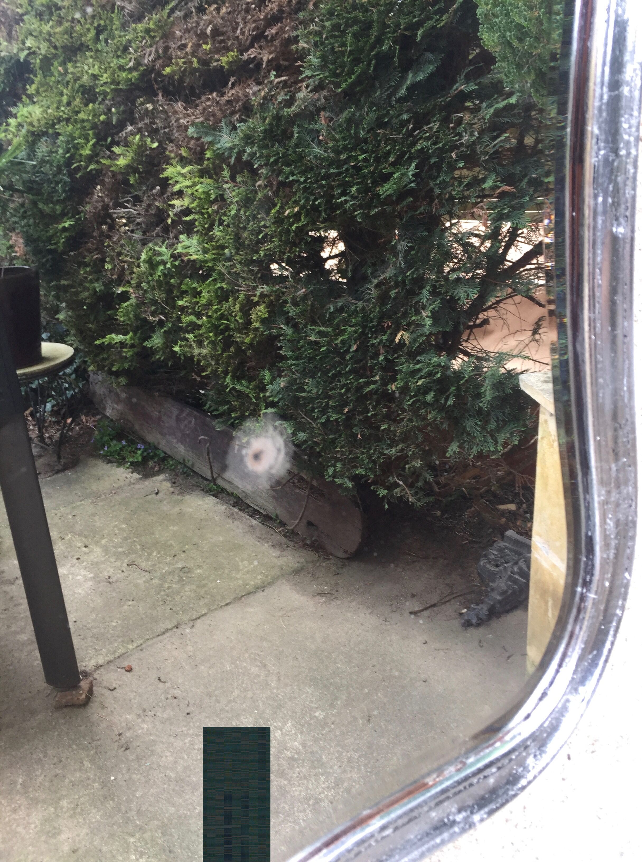 Mirror carved silver 81 x 46 cm