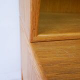 Scandinavian bookcase, 1960s