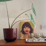 Set of 6 liqueur glasses - Luminarc Domaine model