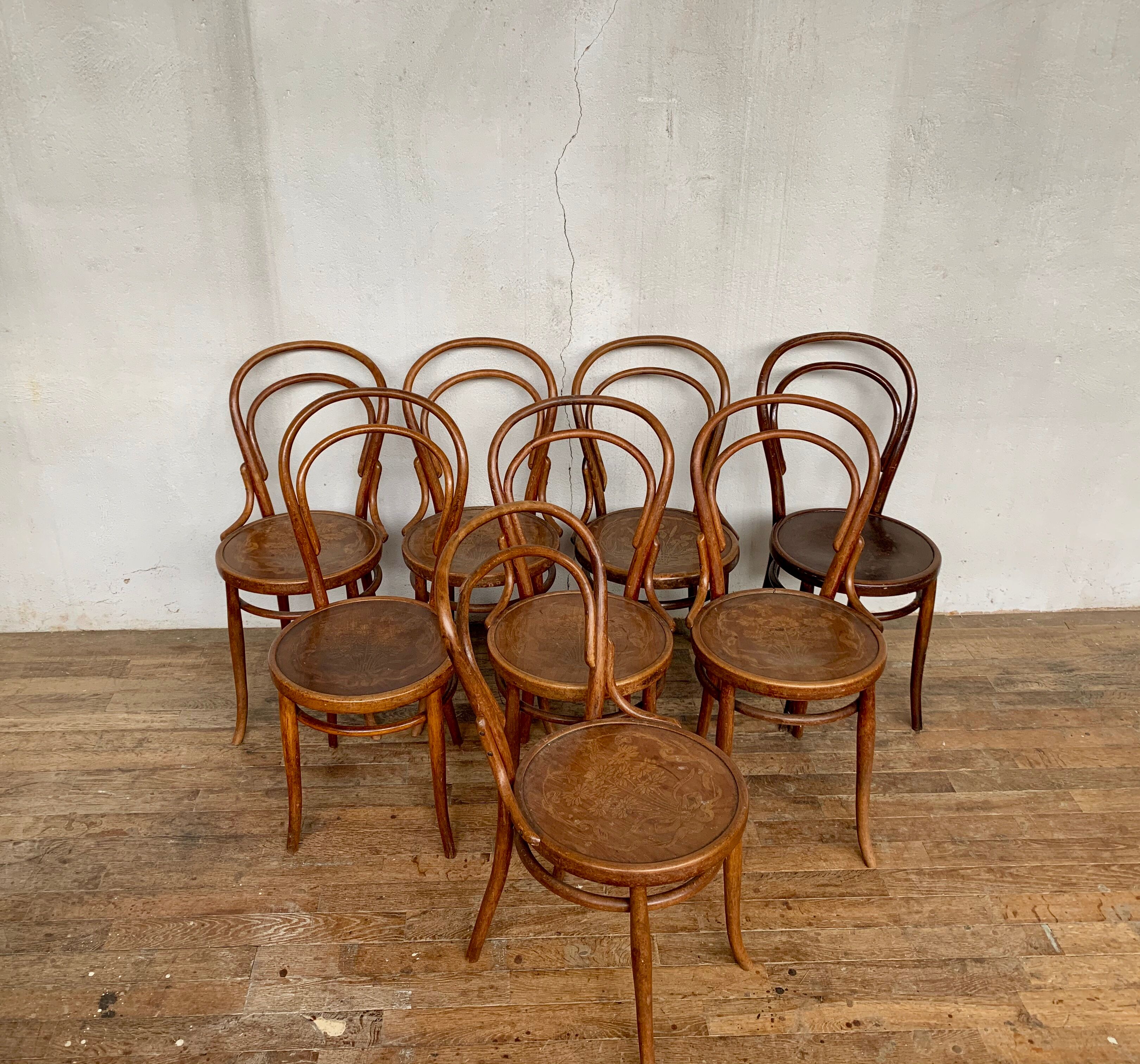 Set of 8 chairs in curved wood Art Nouveau, by Fischel Kohn