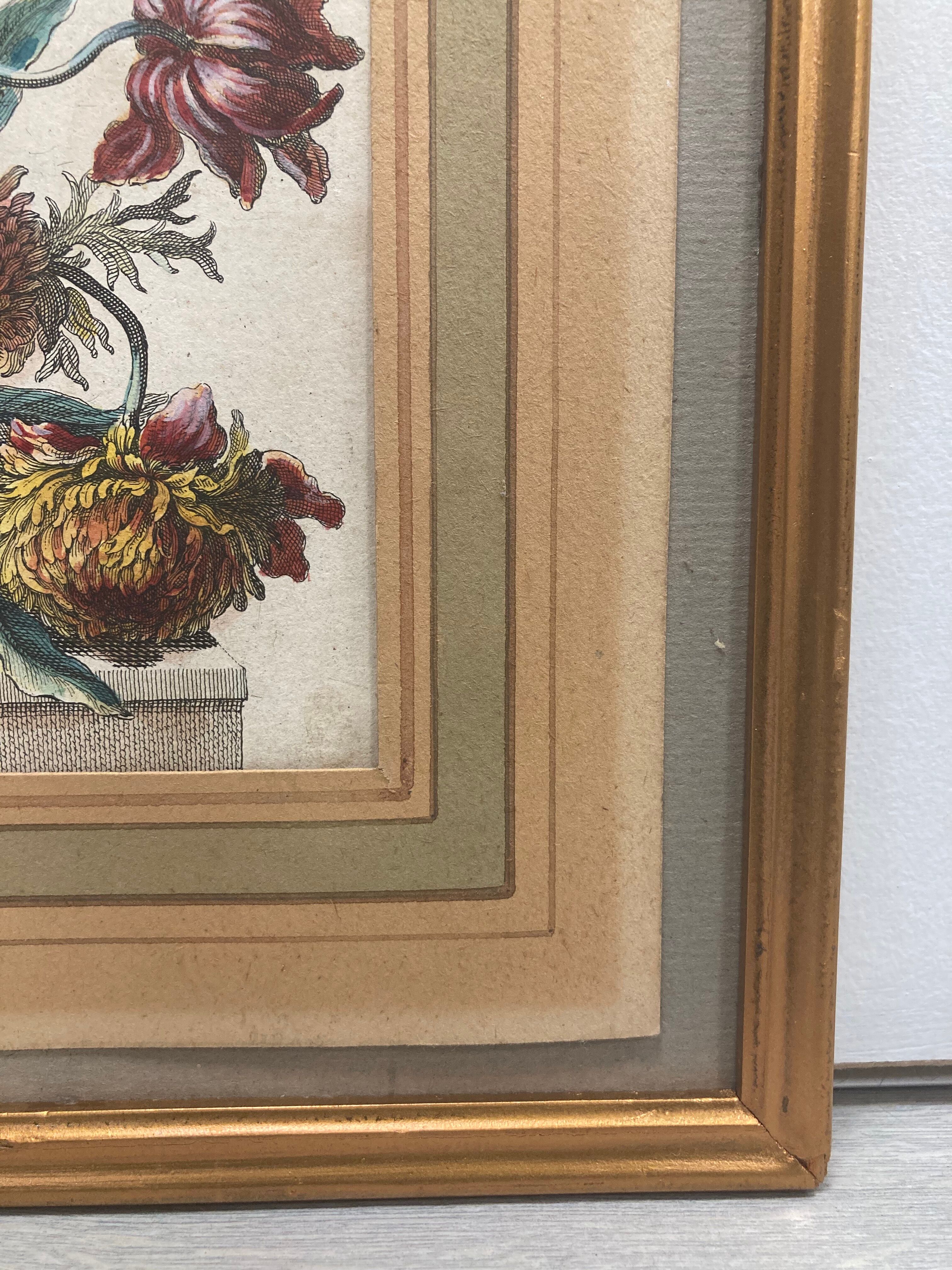 Pair of framed botanical boards