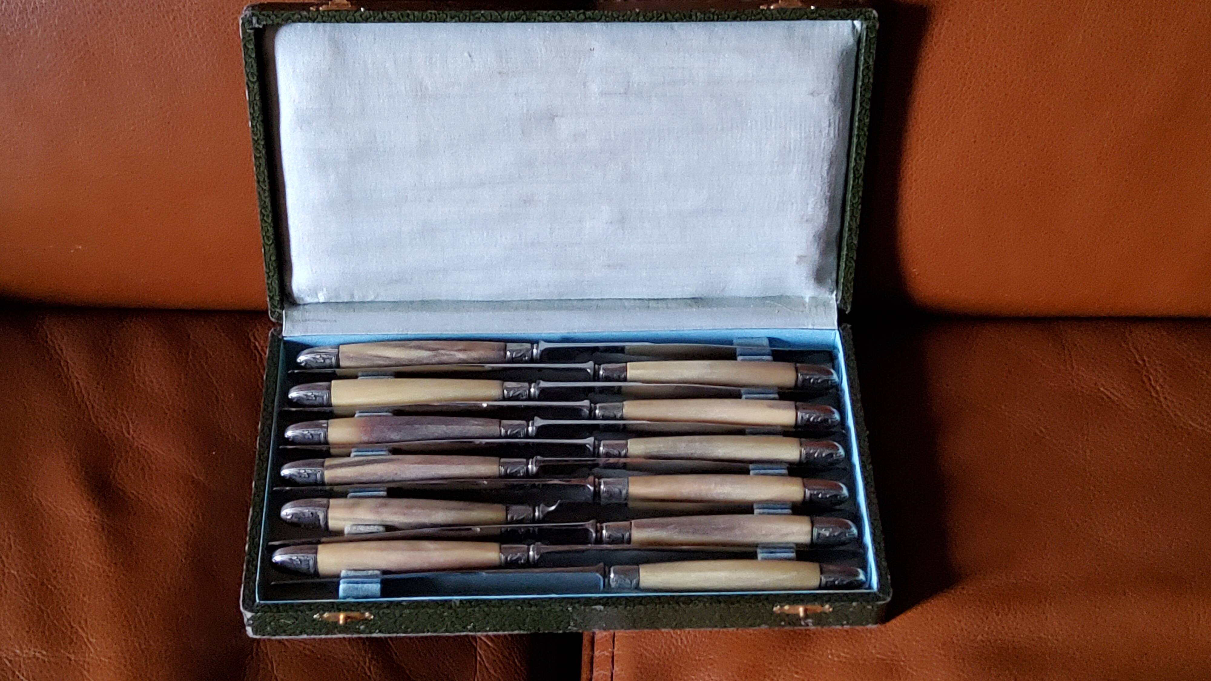 Box of 12 table knives goldsmith Apple handle horn and silver metal
