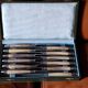 Box of 12 table knives goldsmith Apple handle horn and silver metal
