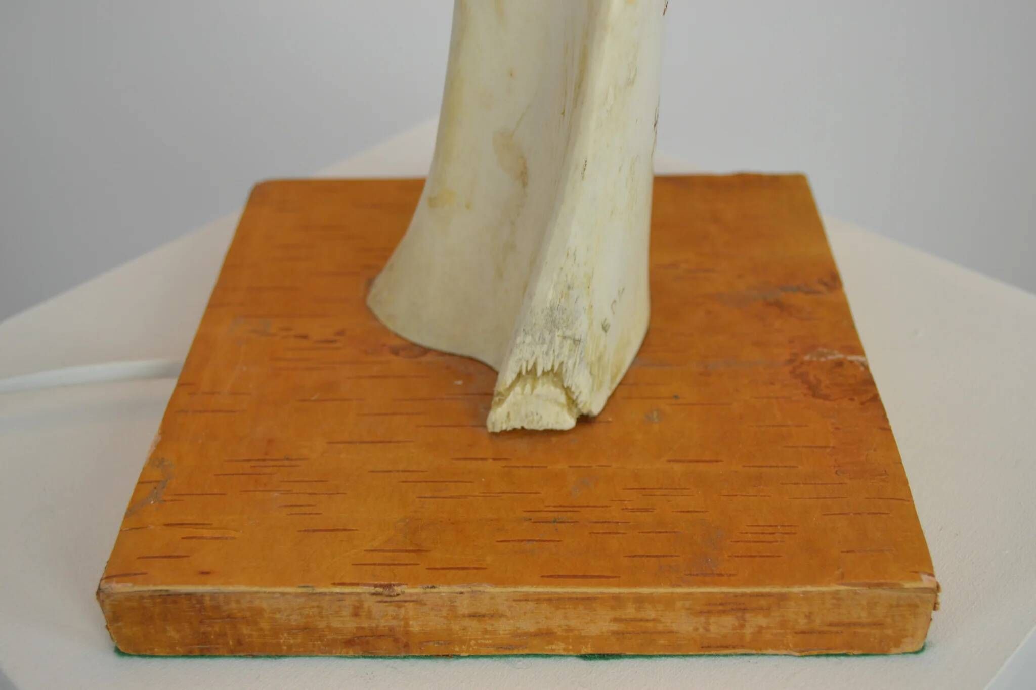 Scandinavian Studio Table Lamp in Carved Bone with Symbolic Decoration, c. 1950s–1970s