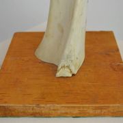 Scandinavian Studio Table Lamp in Carved Bone with Symbolic Decoration, c. 1950s–1970s