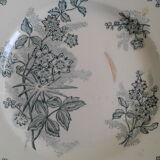2 old plates