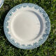 Set of 6 mismatched iron earth flat plates