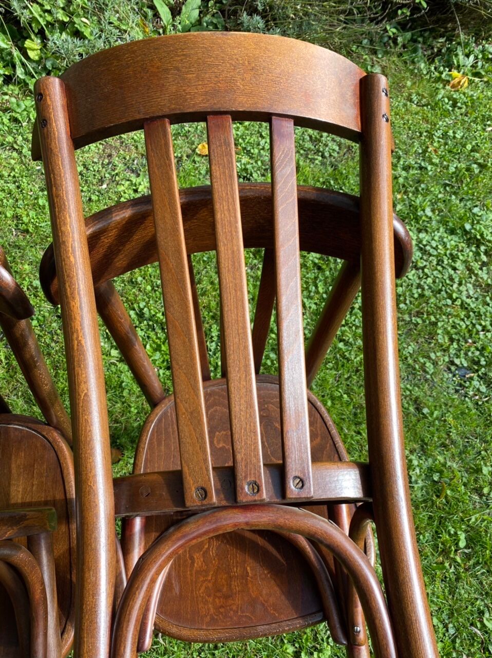 Set of 6 chairs bistro Fischel early XX century