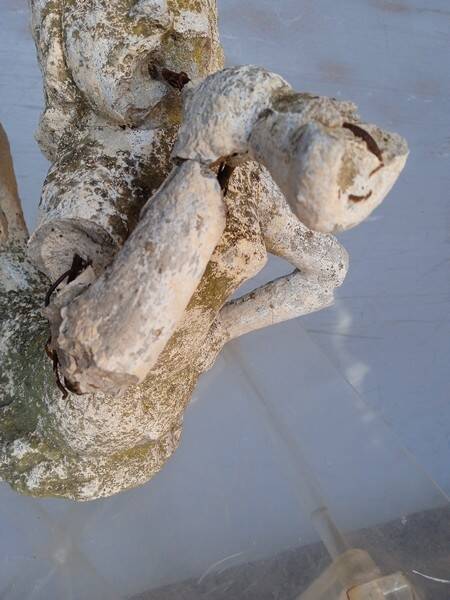 Gargoyle in cement mermaid bugle cathedral ep 1950