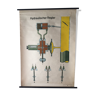 Poster of a hydraulic regulator by Volk Und Wissen Berlin