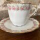 Cup and saucer Limoge porcelain decoration frieze of roses