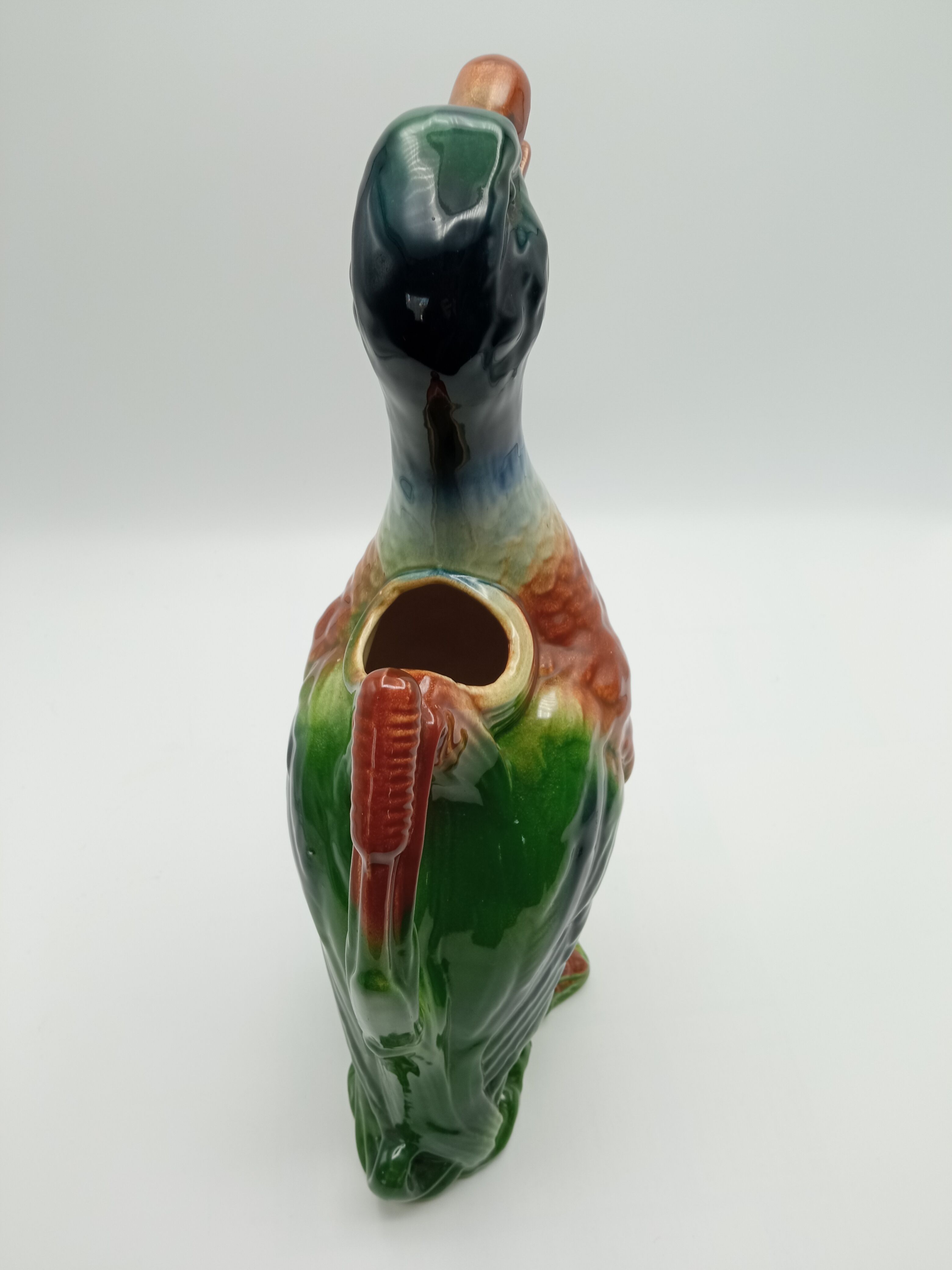 Duck pitcher in dabbling