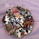 Collection plate gien france peonies, hand painted, vintage