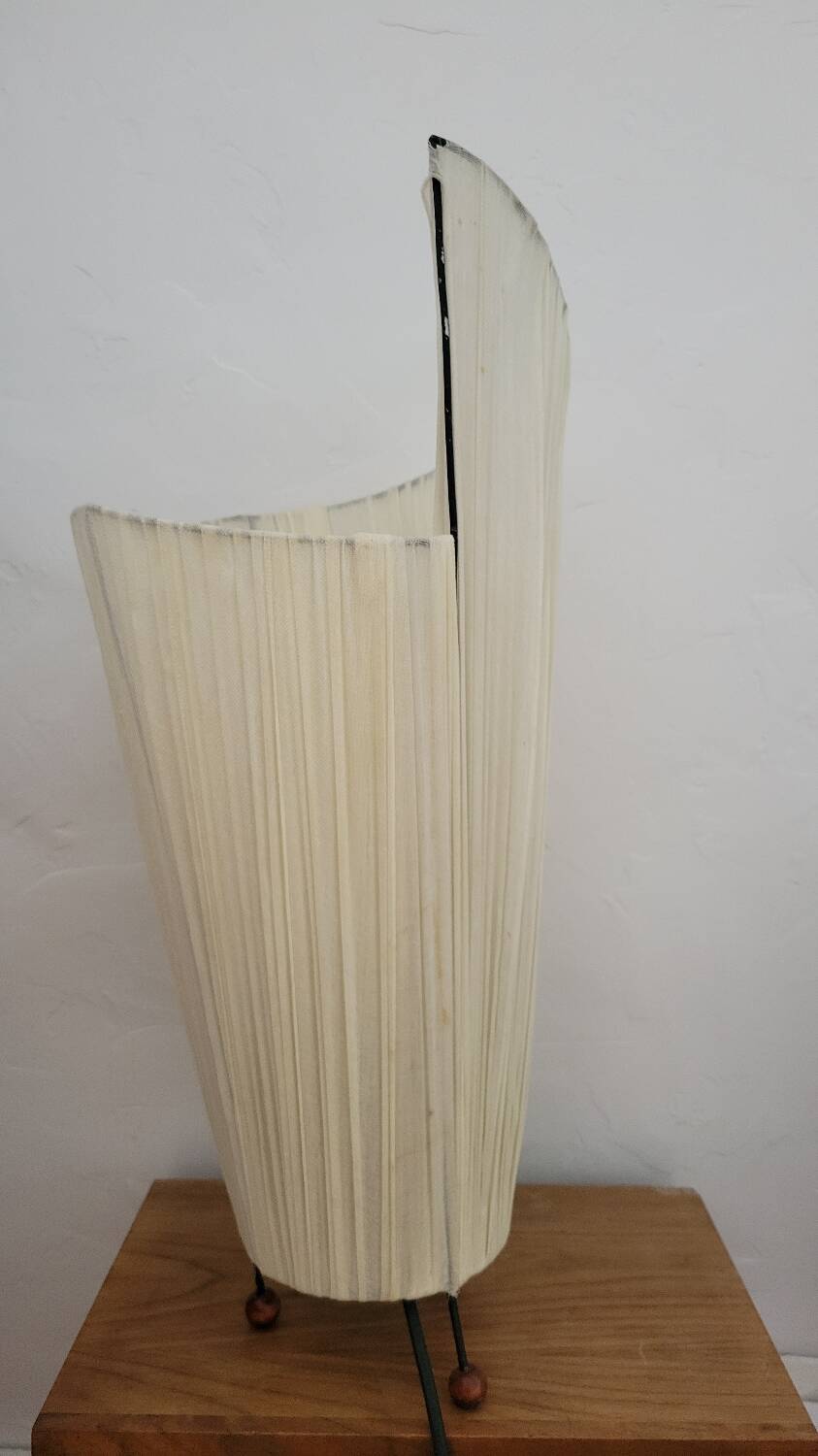 Tripod year 50
