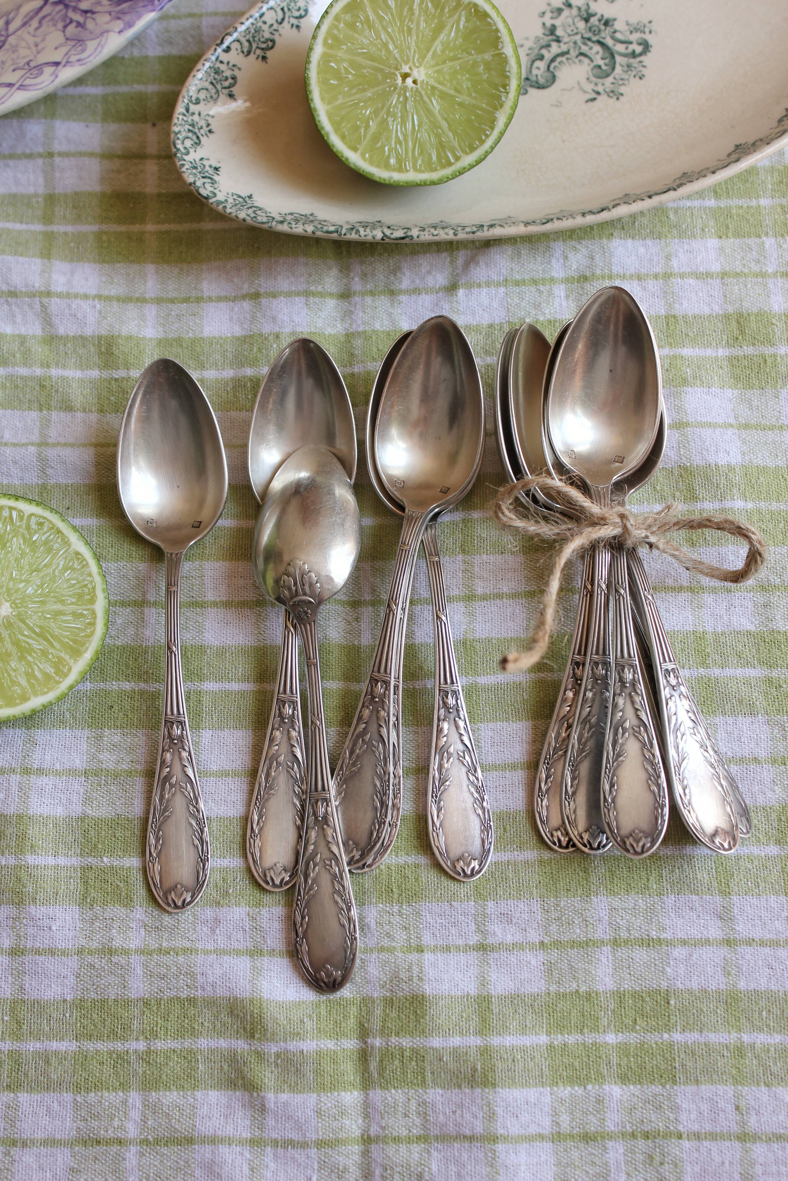 Box of 12 small spoons in vintage silver metal