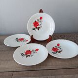 Lot de 4 assiettes à soupe Arcopal