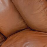 Pair of vintage Coquelicot lounge chairs by Tito Agnoli for Poltrona Frau in leather from the 70s