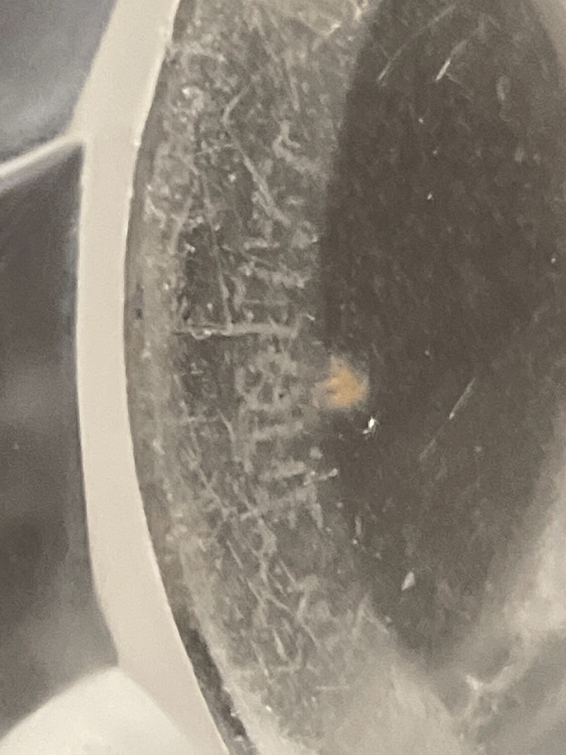 Lalique vase crystal