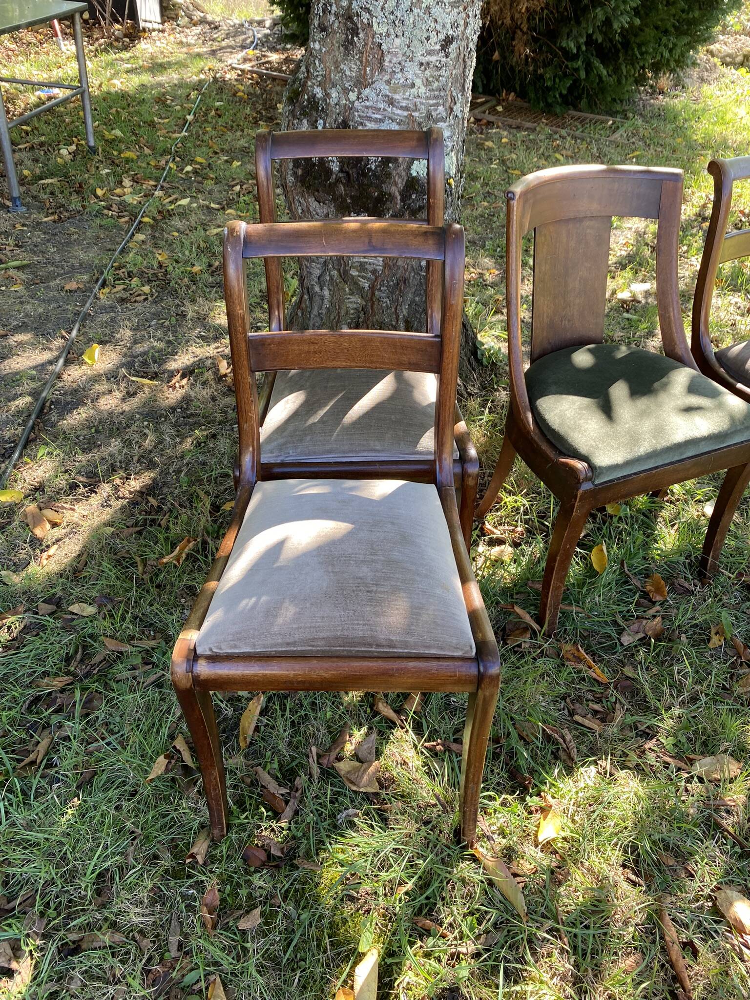 5 chairs