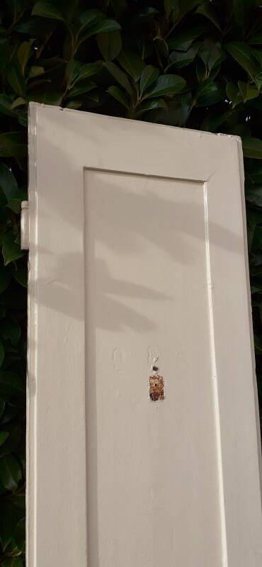 Narrow old paneled molded cupboard door h220x42cm