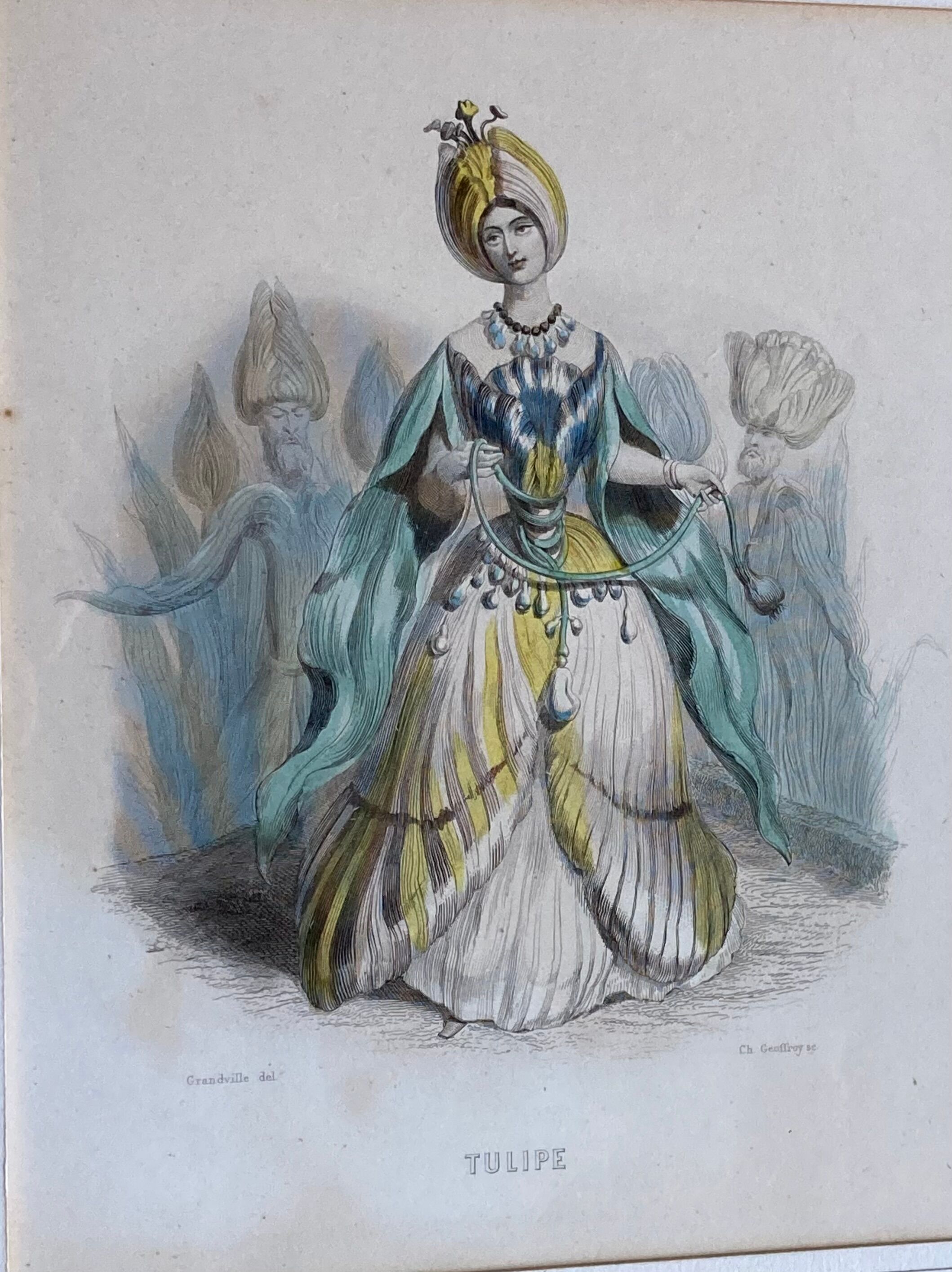 Framed engravings "animated flowers" - JJ Grandville